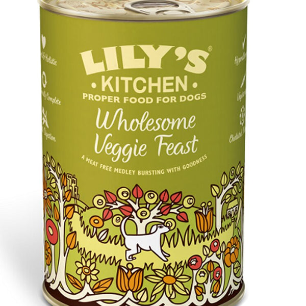 Lily's Kitchen Wholesome Veggie Feast Wet Dog Food