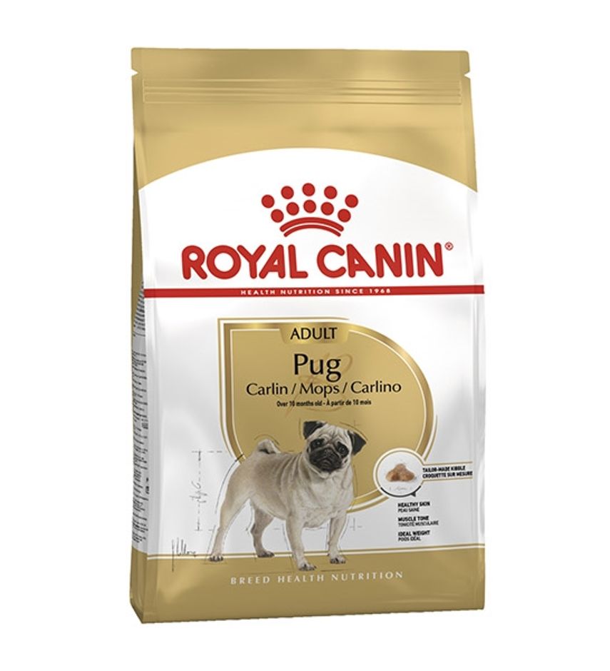 Royal Canin Pug Adult Dry Dog Food