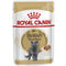 Royal Canin British Shorthair Adult Wet Cat Food
