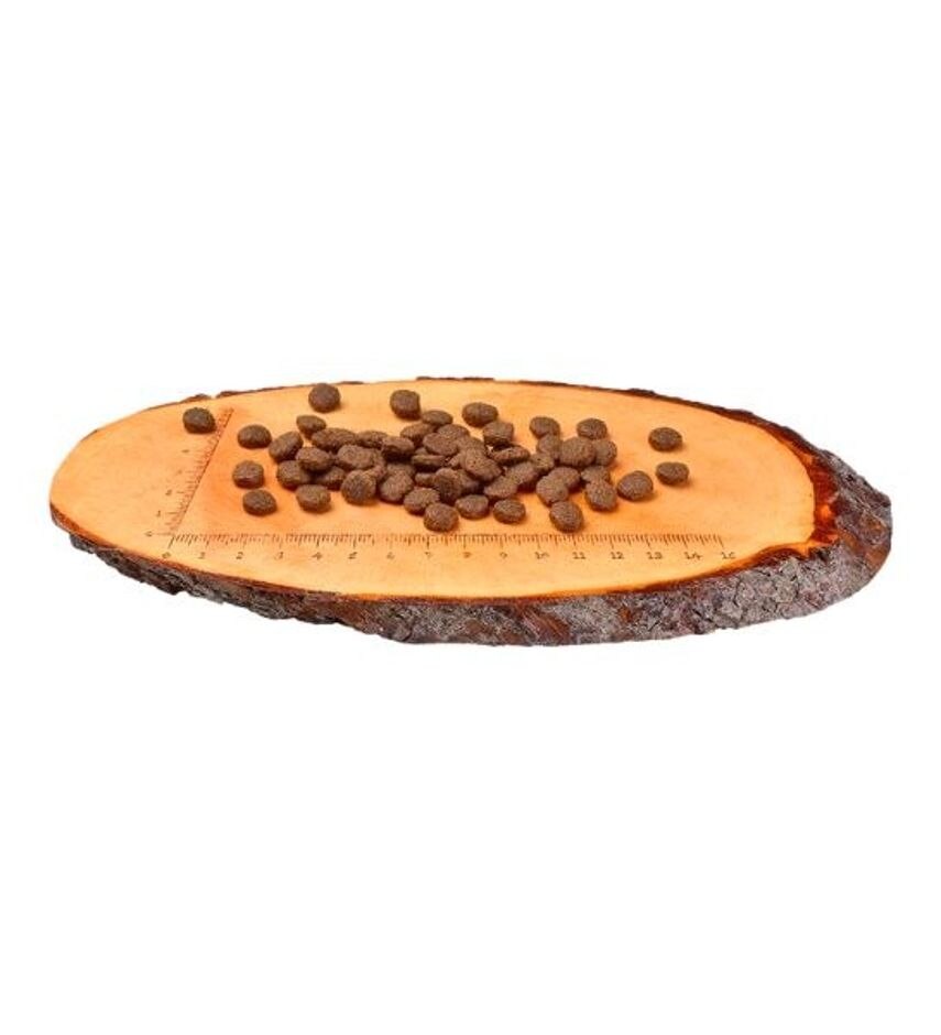 Carnilove Lamb & Wild Boar for Adult Dog Dry Food