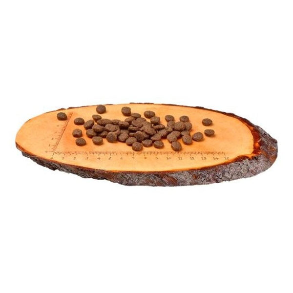 Carnilove Lamb & Wild Boar for Adult Dog Dry Food