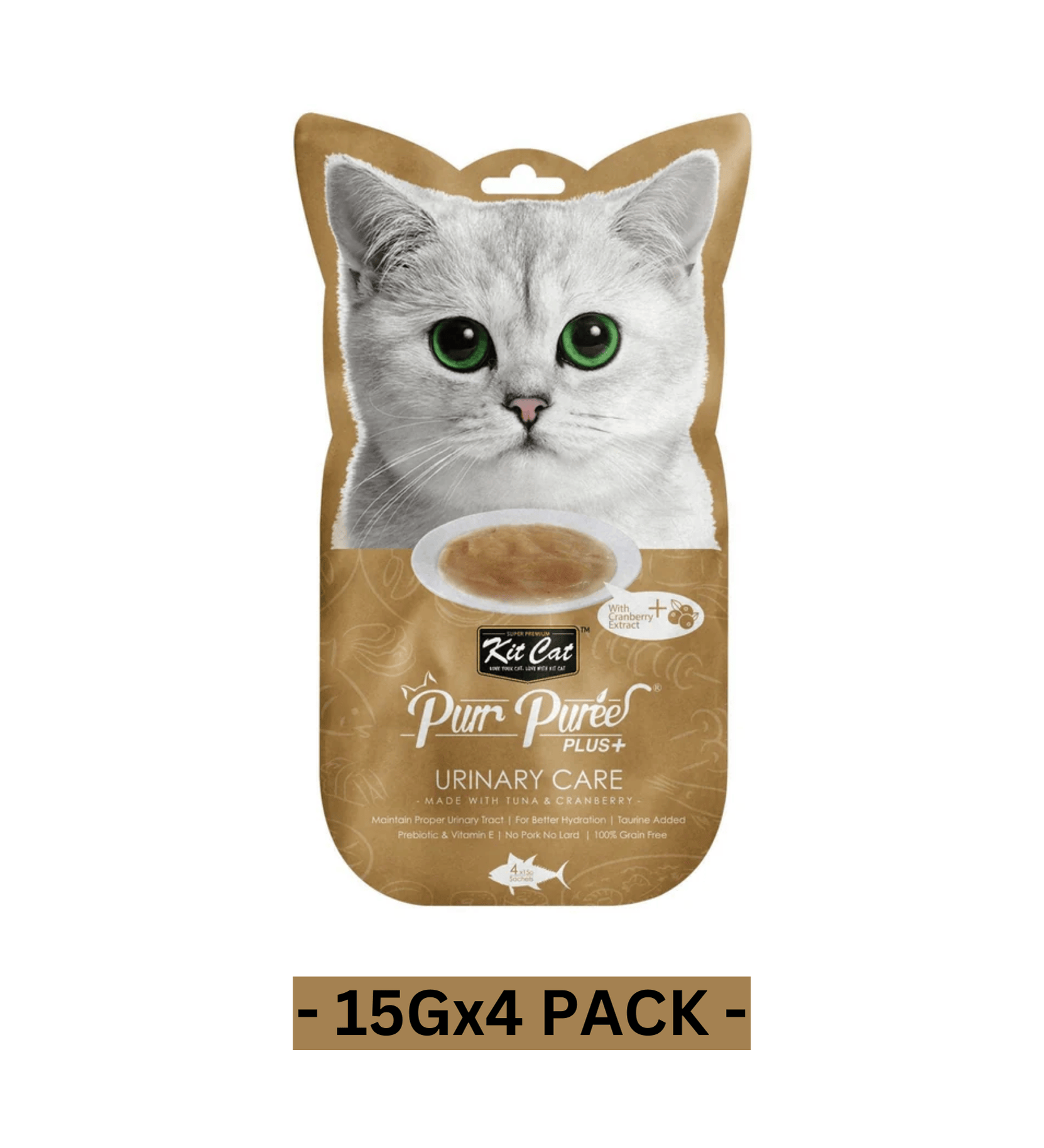Kit Cat