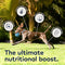 ZIWI Peak Air Dried Beef Dry Dog Food