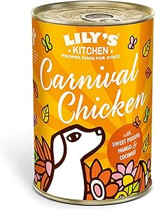 Lily's Kitchen Dog Carnival Chicken Wet Food