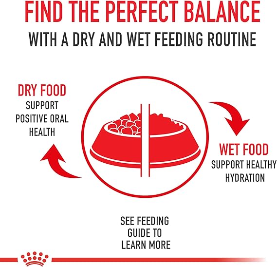 Royal Canin Pug Adult Dry Dog Food