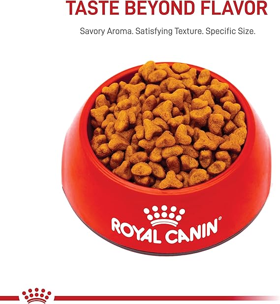 Royal Canin Pug Adult Dry Dog Food