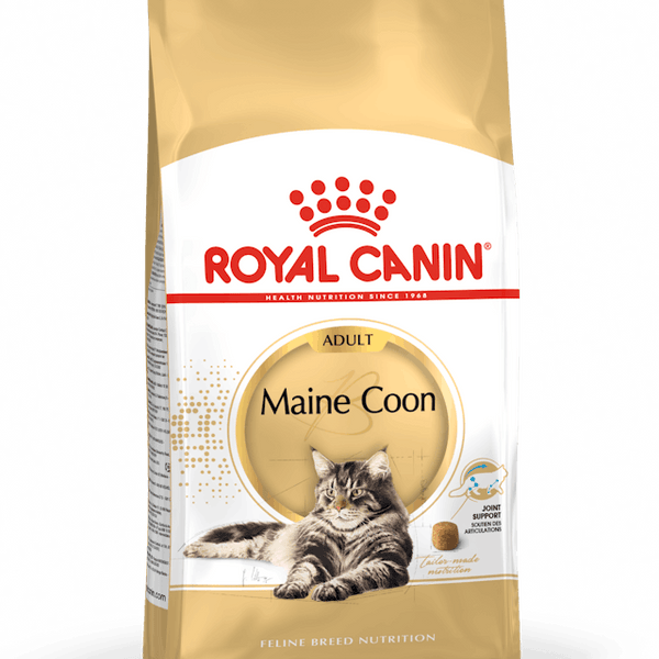 Royal Canin Maine Coon Adult Dry Cat Food