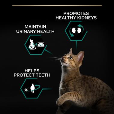 PURINA Pro Plan Sterilised Optirenal Turkey Adult Dry Cat Food