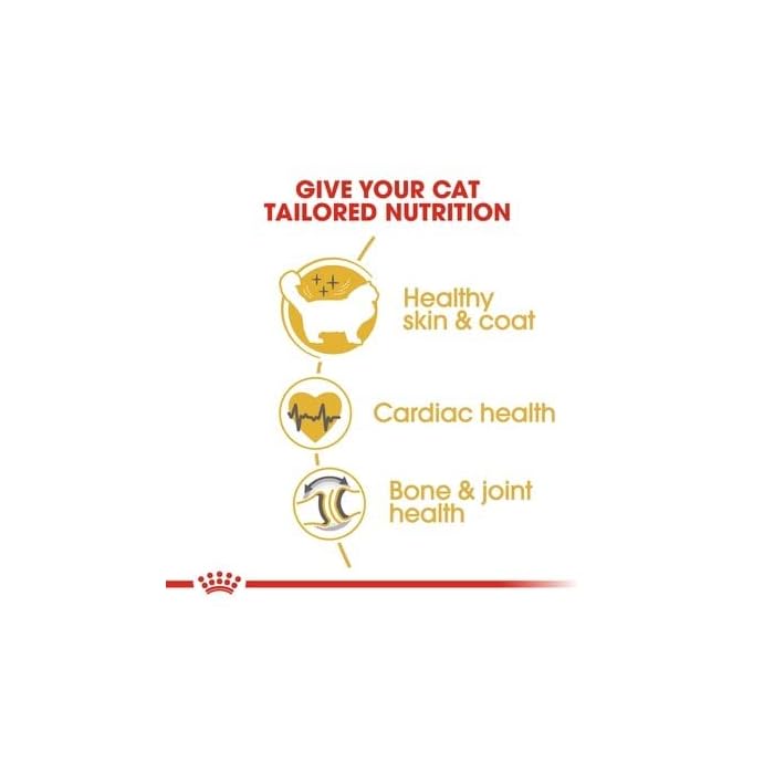 Royal Canin Ragdoll Adult Dry Cat Food