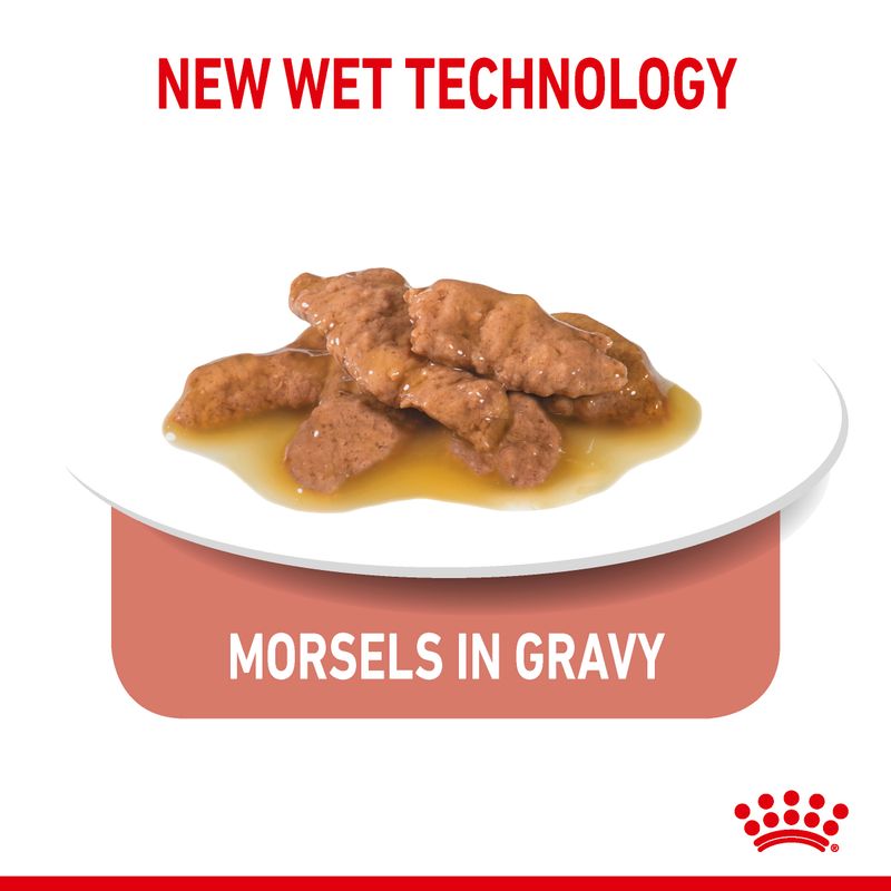 Royal Canin Indoor Sterilised 7+ in Gravy Cat Wet Food