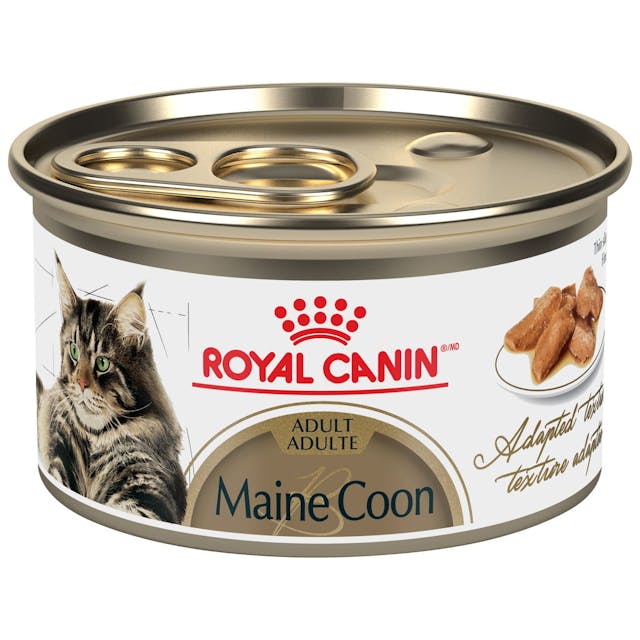 Royal Canin Maine Coon Adult Wet Cat Food
