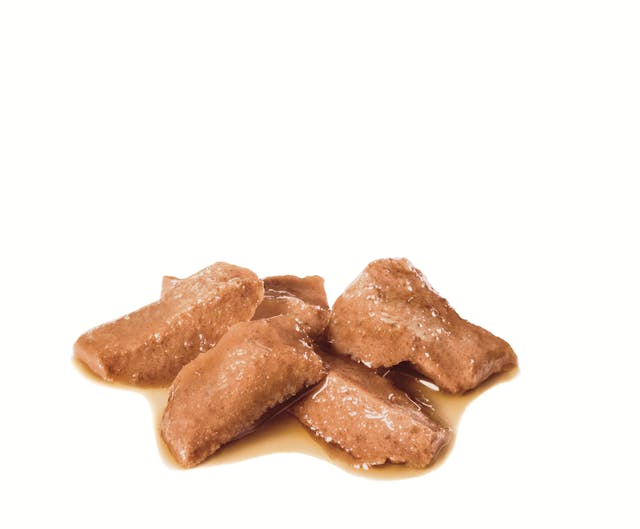 Royal Canin Maine Coon Adult Wet Cat Food