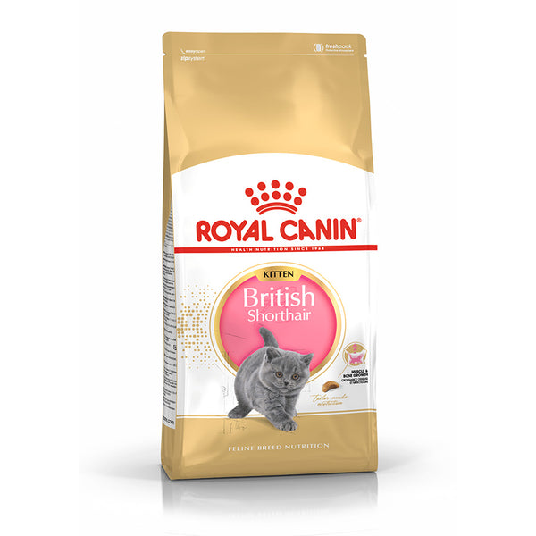 Royal Canin British Shorthair Kitten Dry Food