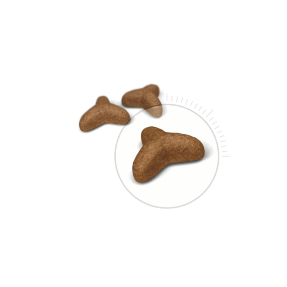 Royal Canin Light Weight Care Adult Dry Cat Food