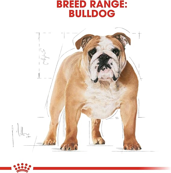 Royal Canin Bulldog Adult Dry Dog Food