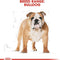 Royal Canin Bulldog Adult Dry Dog Food