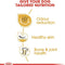 Royal Canin Bulldog Adult Dry Dog Food