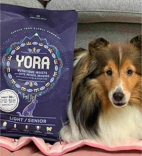 Yora Pet Foods Insect Protein Light Senior Dry Dog Food