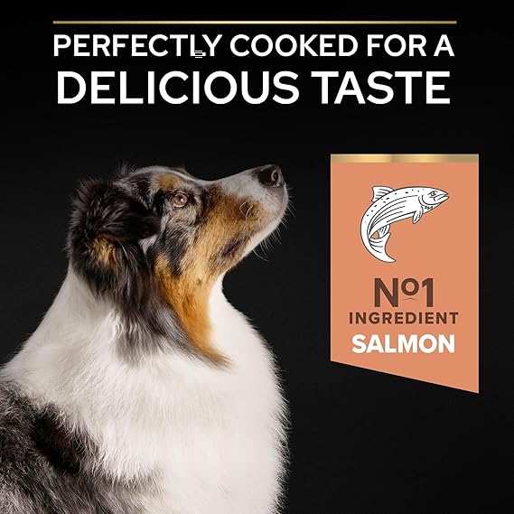 PURINA Pro Plan Optiderma Salmon Medium Sensitive Skin Adult Dry Dog Food