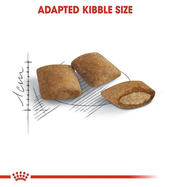 Royal Canin Ageing 12+ Dry Cat Food