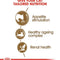 Royal Canin Ageing 12+ Dry Cat Food