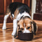 Arden Grange Adult Fresh Chicken & Rice Dry Dog Food Promo Bag