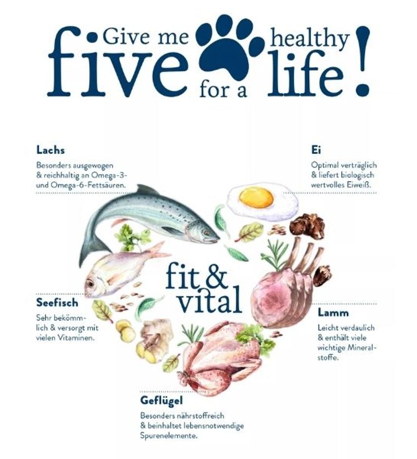 Happy Dog Fit & Vital Medium Adult