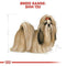 Royal Canin Shih Tzu Adult Wet Dog Food