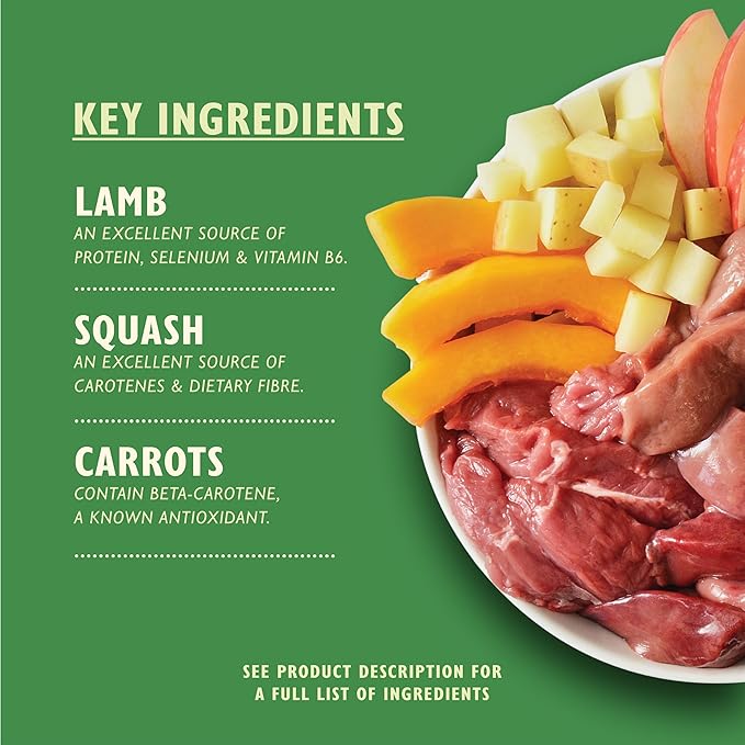 Lily's Kitchen Lamb Hotpot Wet Dog Food