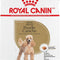 Royal Canin Poodle Adult Wet Dog Food
