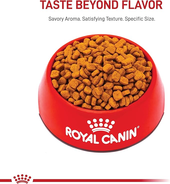 Royal Canin Poodle Adult Wet Dog Food