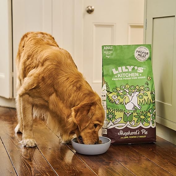 Lily's Kitchen Shepherd's Pie Lamb Grain Free Adult Dry Dog Food
