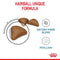 Royal Canin Hairball Care Adult Dry Cat Food
