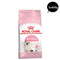 Royal Canin Kitten Dry Food