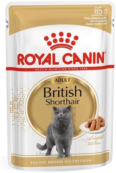 Royal Canin British Shorthair Adult Wet Cat Food