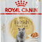 Royal Canin British Shorthair Adult Wet Cat Food