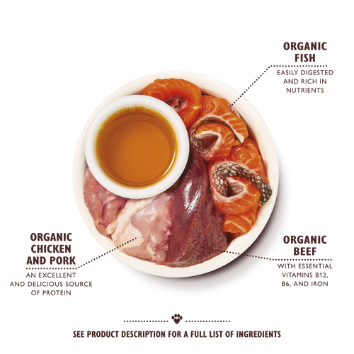 Lily's Kitchen Organic Fish Pate Wet Cat Food