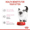 Royal Canin Kitten Sterilised in Gravy Wet Food