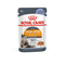 Royal Canin Hair & Skin in Jelly Adult Wet Cat Food