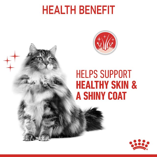 Royal Canin Hair & Skin in Jelly Adult Wet Cat Food