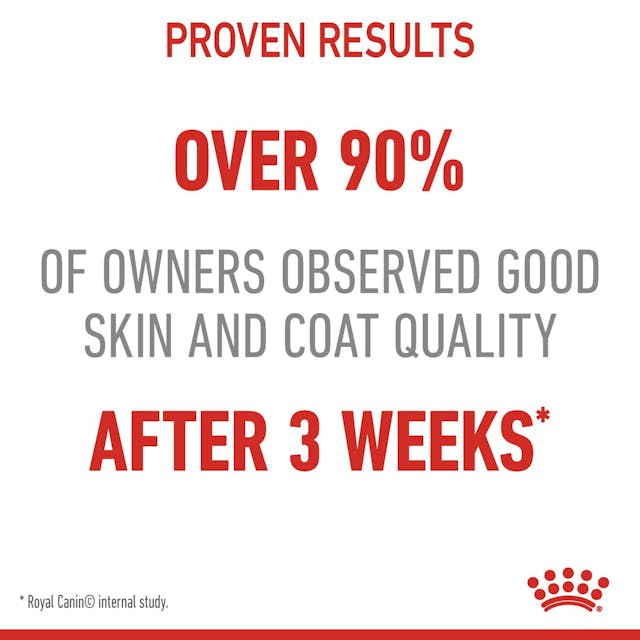 Royal Canin Hair & Skin in Jelly Adult Wet Cat Food
