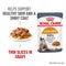 Royal Canin Hair & Skin Adult Wet Cat Food in jelly