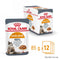 Royal Canin Hair & Skin Adult Wet Cat Food in jelly