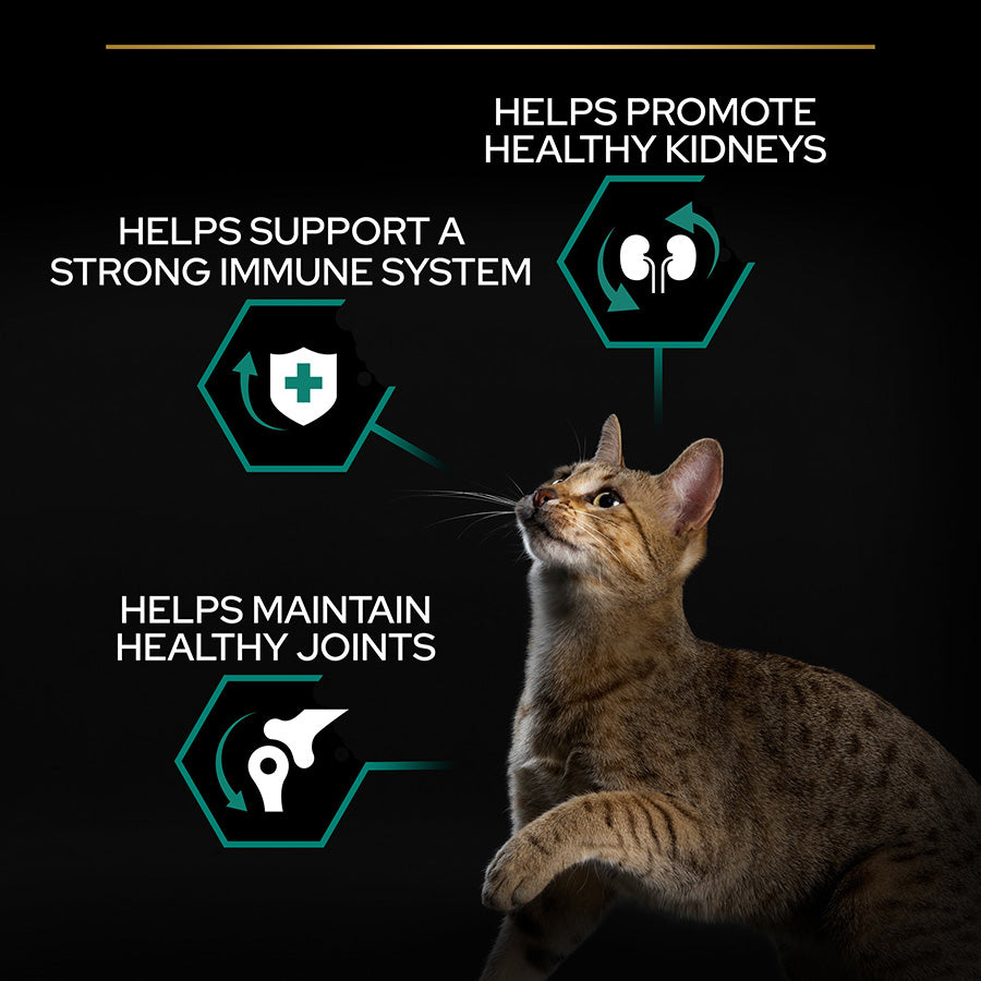 PURINA Pro Plan Adult Renal Plus Chicken Dry Cat Food