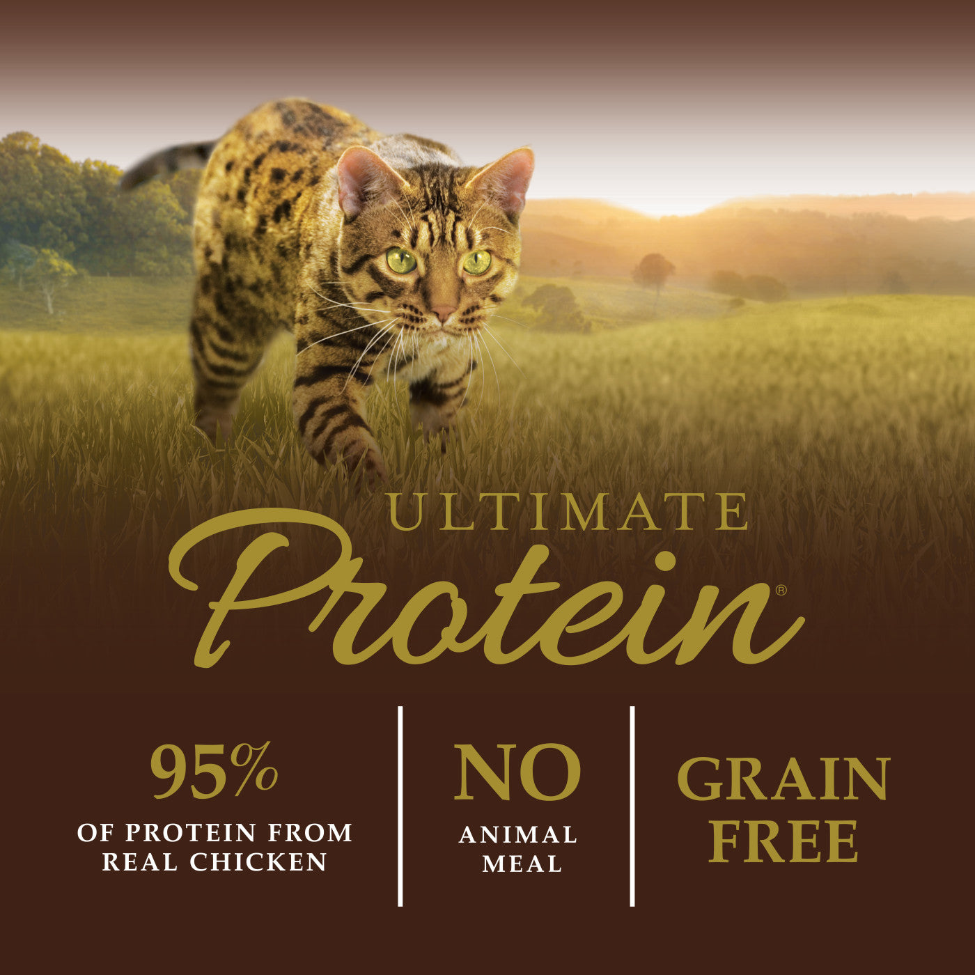 Instinct Ultimate Protein Kibble Chicken Dry Cat Food