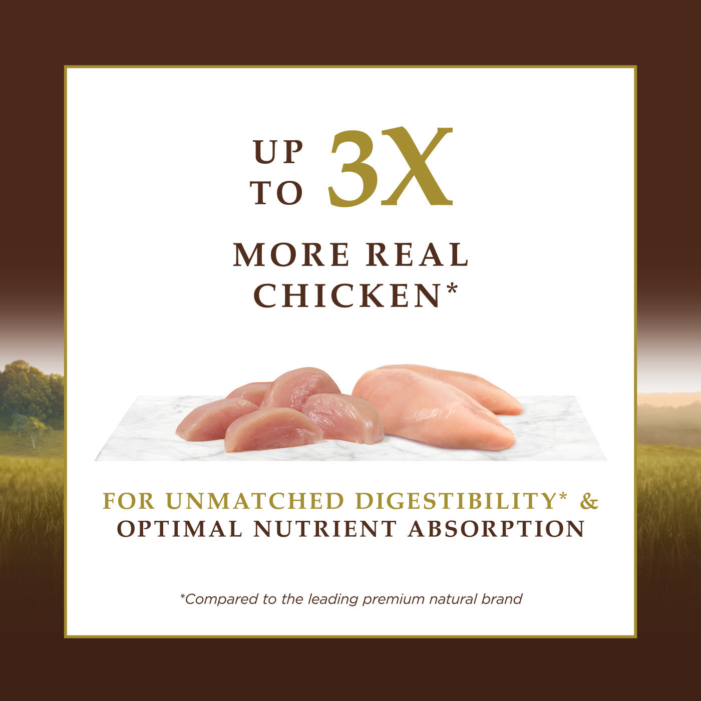 Instinct Ultimate Protein Kibble Chicken Dry Cat Food