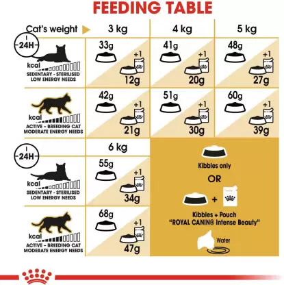 Royal Canin Siamese Adult Dry Cat Food