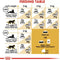 Royal Canin Siamese Adult Dry Cat Food