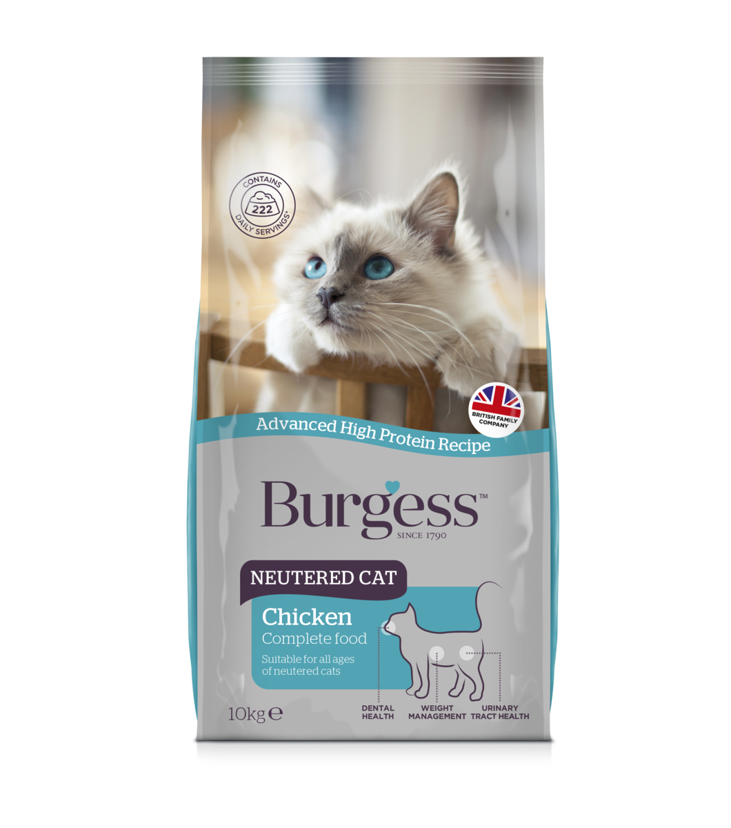 Burgess