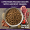 Taste of The Wild Ancient Mountain Lamb Dry Dog Food